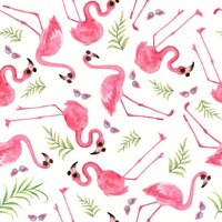 Flamingos- White/Pink 