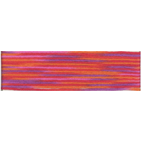 Cosmo Seasons Variegated Embroidery Floss  80 9018