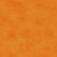 Maywood Shadow Play Persimmon Orange Tonal Blend