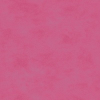 Shadow Play Perfect Pink Tonal Blend