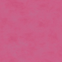 Maywood Shadow Play Perfect Pink Tonal Blend