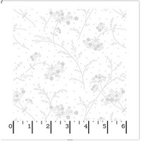 Kimberley Basics - MAKE A WISH