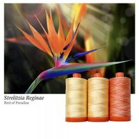 Aurifil 3pc Set Bird of Paradise 50wt