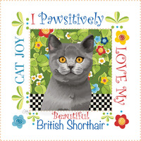 6in Art Panel - BRITISH SHORTHAIR CAT