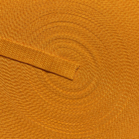 Belting / Webbing 20 mm wide - Gold