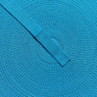 Belting / Webbing 20 mm wide - Turquoise