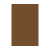 Belting 32 mm wide - Cinnamon