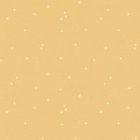 Dainty Daisy - HONEY