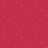 Dainty Daisy - JAZZBERRY