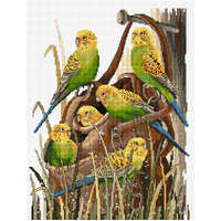 Bush Budgies Cross Stitch Pattern