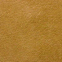 Faux Leather - Mustard Legacy