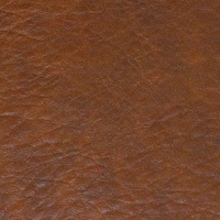 Faux Leather - Hazelnut Legacy