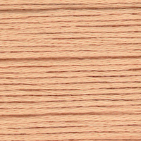 Cosmo  Embroidery Floss 25 Pale Beige -  126