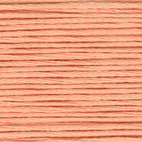 Cosmo  Embroidery Floss 25 Apricot Wash -  2341