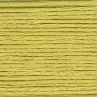 Cosmo  Embroidery Floss 25 Leek Green -  821