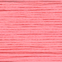 Embroidery Floss 834