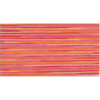 Cosmo Seasons Variegated Embroidery Floss 80 5003