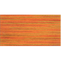 Cosmo Seasons Variegated Embroidery Floss 80 5008