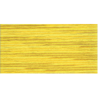 Cosmo Seasons Variegated Embroidery Floss 80 5009