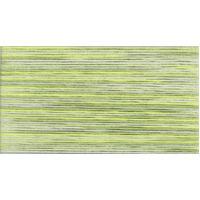 Cosmo Seasons Variegated Embroidery Floss 80 5013