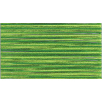 Cosmo Seasons Variegated Embroidery Floss 80 5015