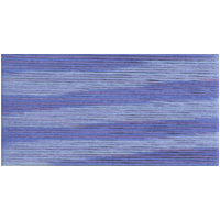 Cosmo Seasons Variegated Embroidery Floss 80 5022