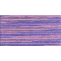 Cosmo Seasons Variegated Embroidery Floss 80 5024