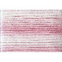 Cosmo Seasons Variegated Embroidery Floss 80 8004