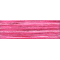 Cosmo Seasons Variegated Embroidery Floss 80 8008