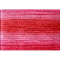 Cosmo Seasons Variegated Embroidery Floss 80 8010