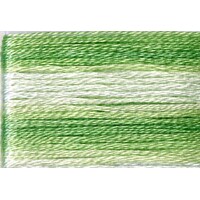 Cosmo Seasons Variegated Embroidery Floss 80 8013