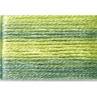 Cosmo Seasons Variegated Embroidery Floss 80 8014