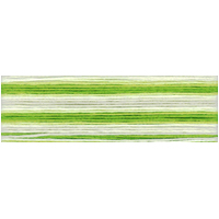 Cosmo Seasons Variegated Embroidery Floss 80 8015