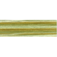 Cosmo Seasons Variegated Embroidery Floss 80 8018