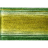 Cosmo Seasons Variegated Embroidery Floss 80 8019