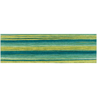 Cosmo Seasons Variegated Embroidery Floss 80 8020