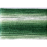 Cosmo Seasons Variegated Embroidery Floss 80 8023