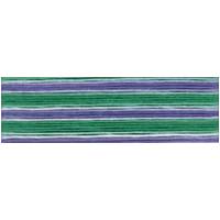 Cosmo Seasons Variegated Embroidery Floss 80 8026