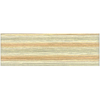 Cosmo Seasons Variegated Embroidery Floss 80 8030