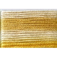 Cosmo Seasons Variegated Embroidery Floss 80 8031