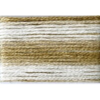 Cosmo Seasons Variegated Embroidery Floss 80 8038