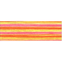 Cosmo Seasons Variegated Embroidery Floss 80 8046
