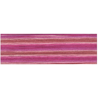 Cosmo Seasons Variegated Embroidery Floss 80 8061