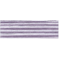 Cosmo Seasons Variegated Embroidery Floss 80 8064