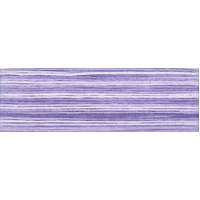 Purple Violet Cosmo Seasons Variegated Embroidery Floss