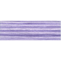 Cosmo Seasons Variegated Embroidery Floss  80 8067