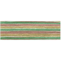 Cosmo Seasons Variegated Embroidery Floss 80 8073