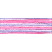 Cosmo Seasons Variegated Embroidery Floss 80 8075