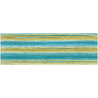 Cosmo Seasons Variegated Embroidery Floss 80 8076