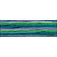 Cosmo Seasons Variegated Embroidery Floss 80 8079